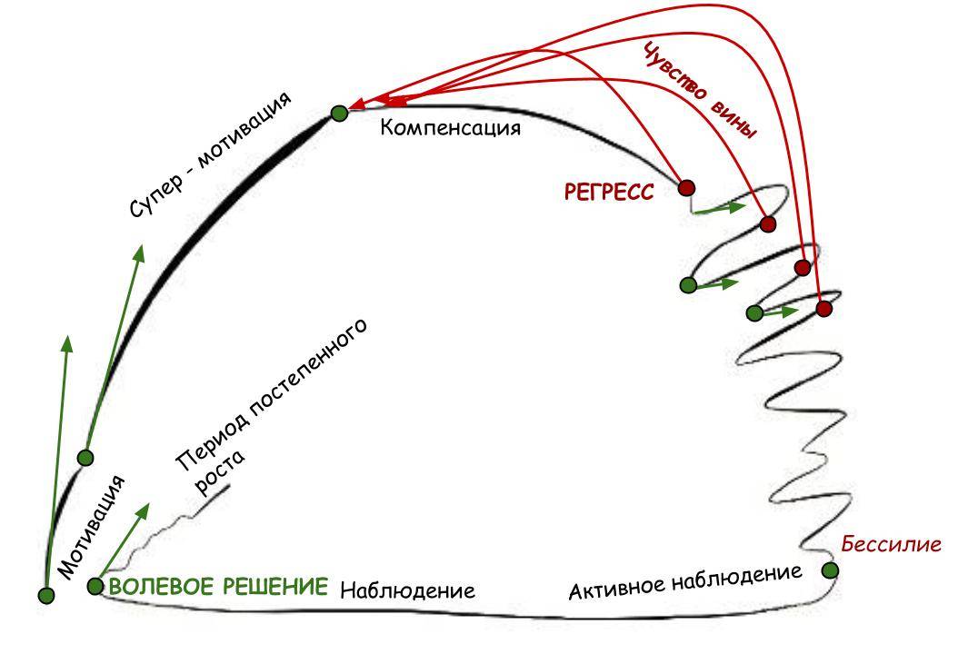 Лекция о мотивации - Sektascience: научно-популярный журнал