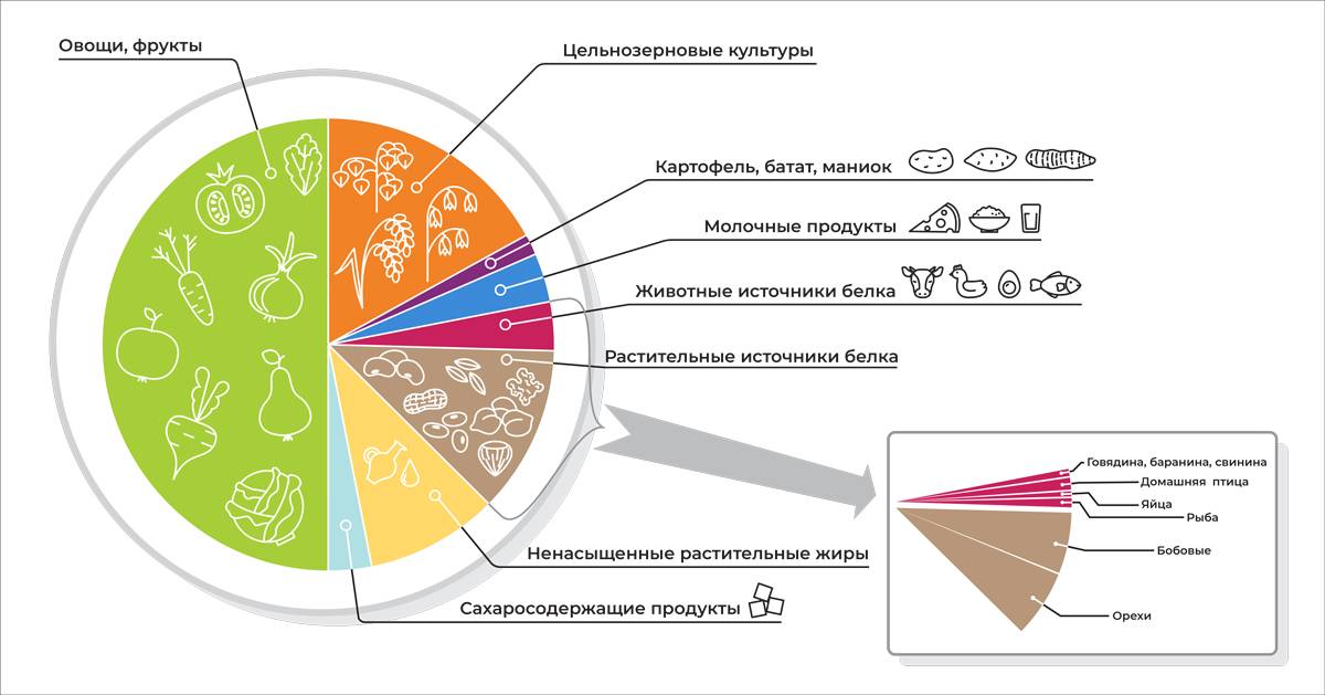 Колесо пищевого баланса в нутрициологии образцы и комментарии