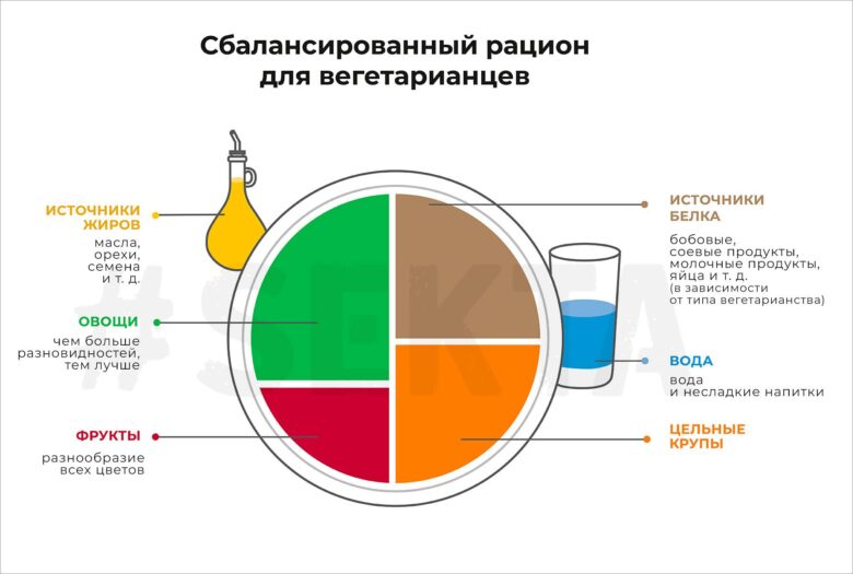 Основа сбалансированного рациона для вегетарианцев