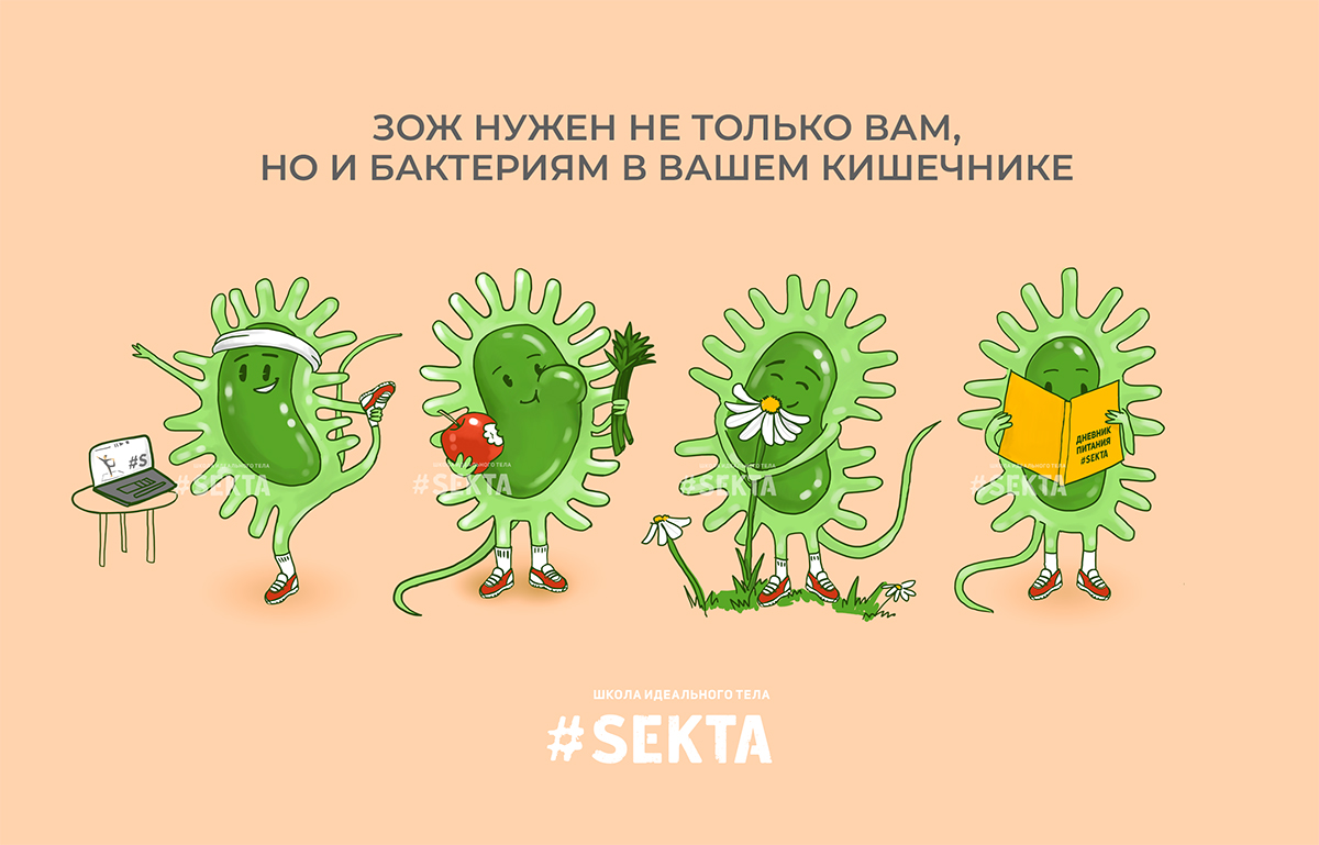 Что нужно знать о микробиоте кишечника и почему курсы #Sekta могут быть  полезны не только для вас, но и для ваших бактерий - Sektascience:  научно-популярный журнал