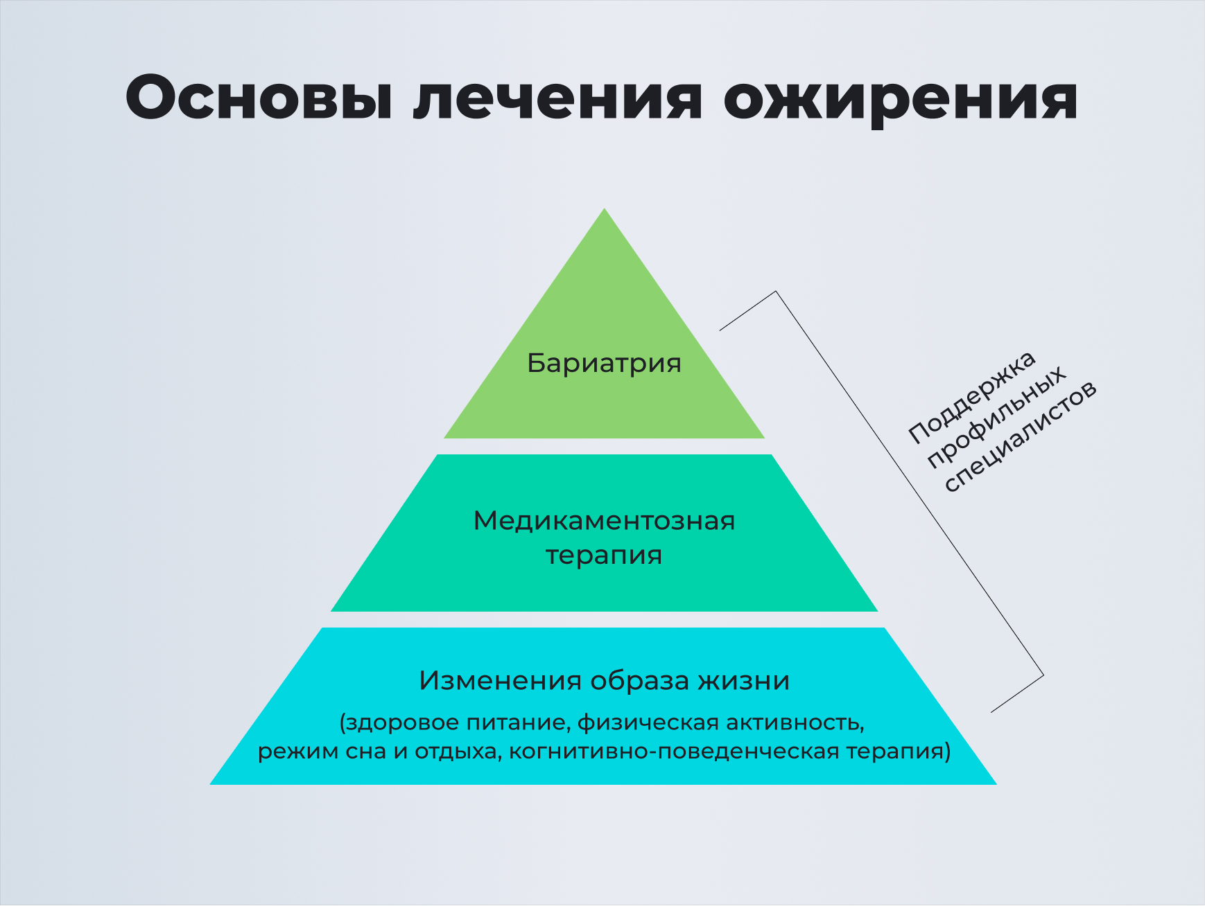 Почему при ожирении важно обращаться к врачу - Sektascience:  научно-популярный журнал