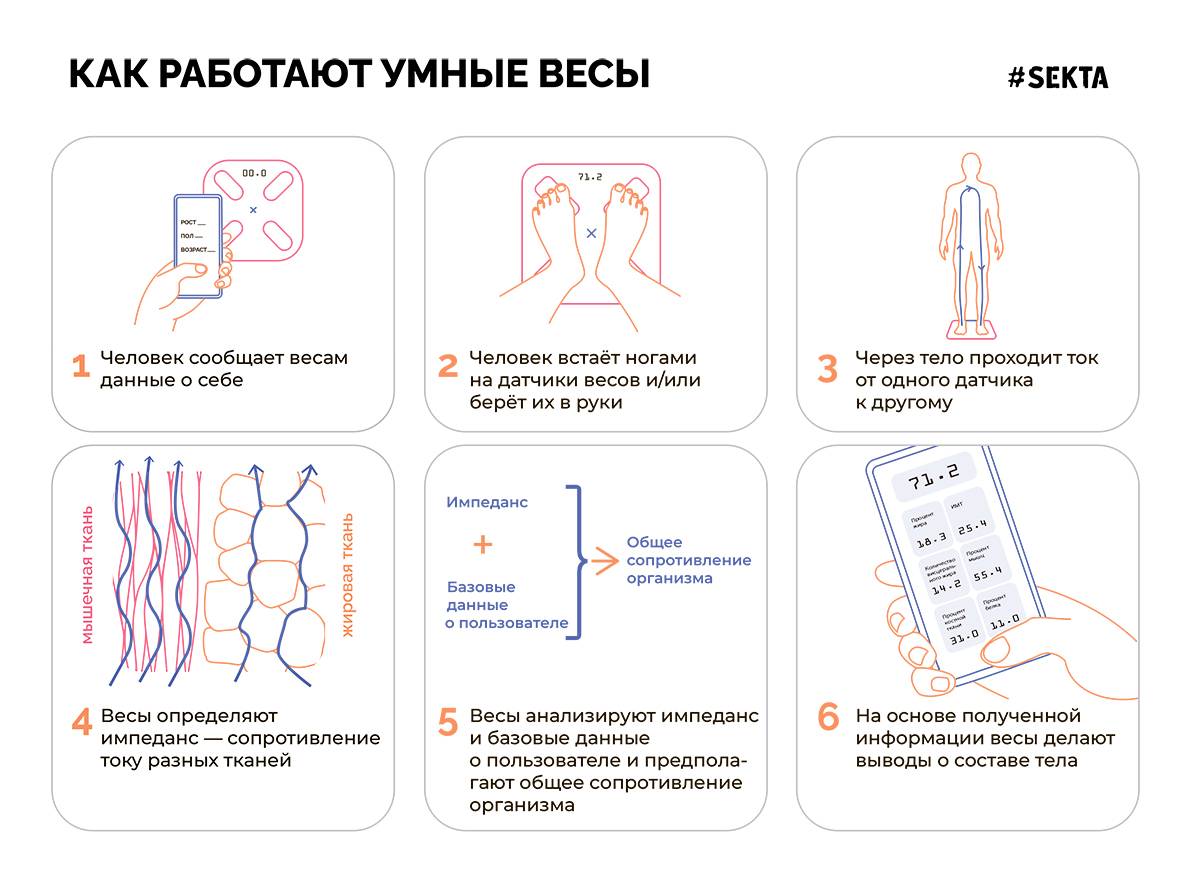 КАК ВЫБРАТЬ ВЕСЫ