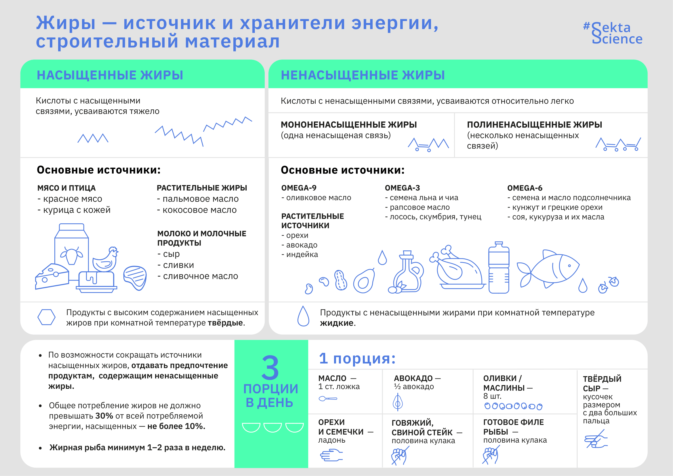 Жиры - Sektascience: научно-популярный журнал